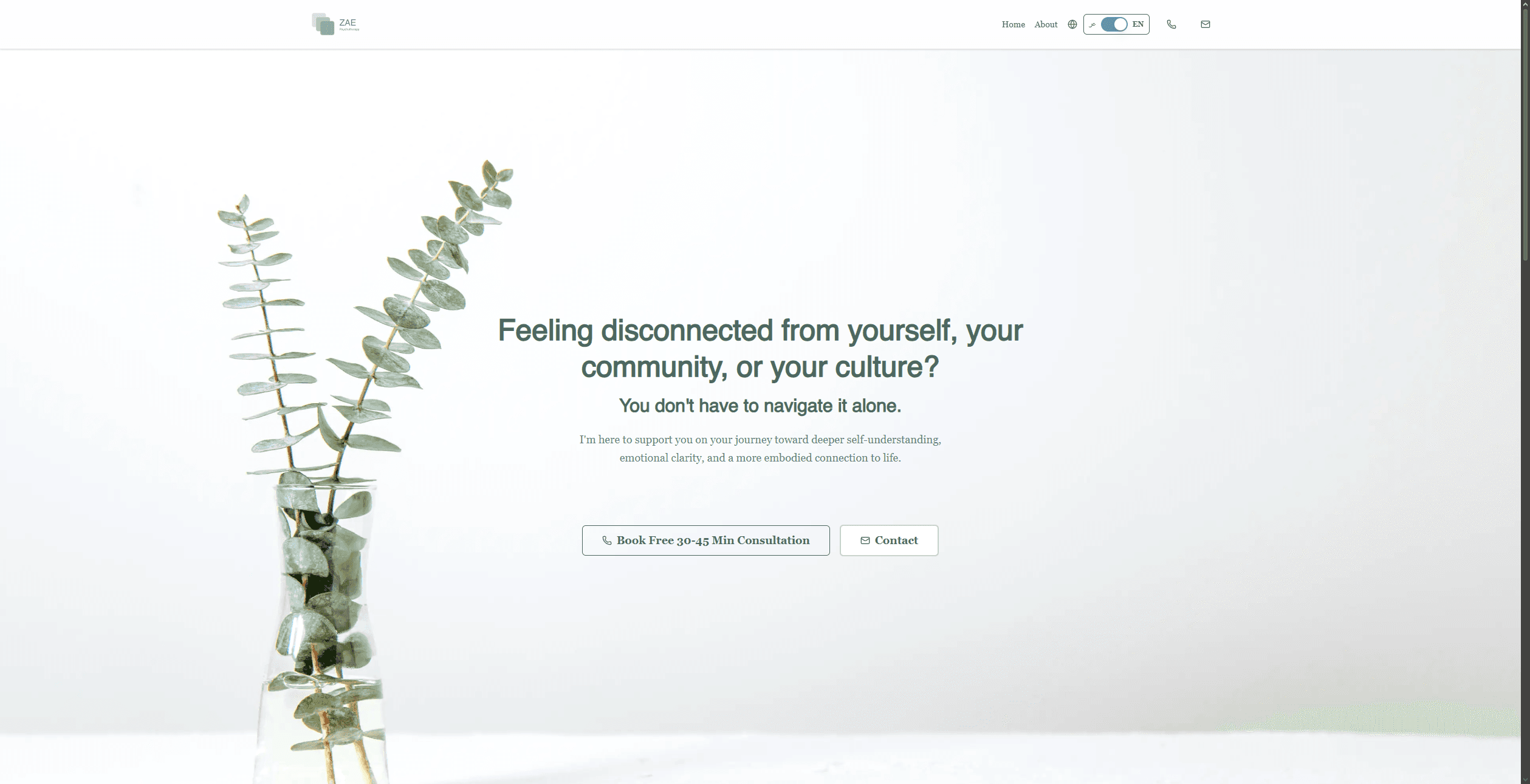 Ziad Elshafei Website